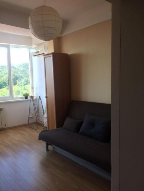 Apartment Lukomorye